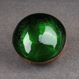 Bol Noix de Coco Naturel Corail Vert